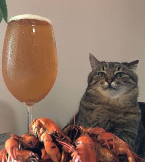  День Лагера отмечается сегодня

Отправьте тому, с кем отметите