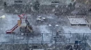 ☃️ Мощный снегопад обрушится уже через 15 минут на Москву, — синоптики

Он усилится в районе 3 часов ночи.
