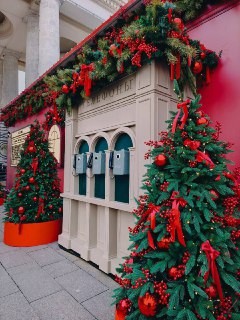 Парк Горького ✨

Фото: Татьяна Тимофеева